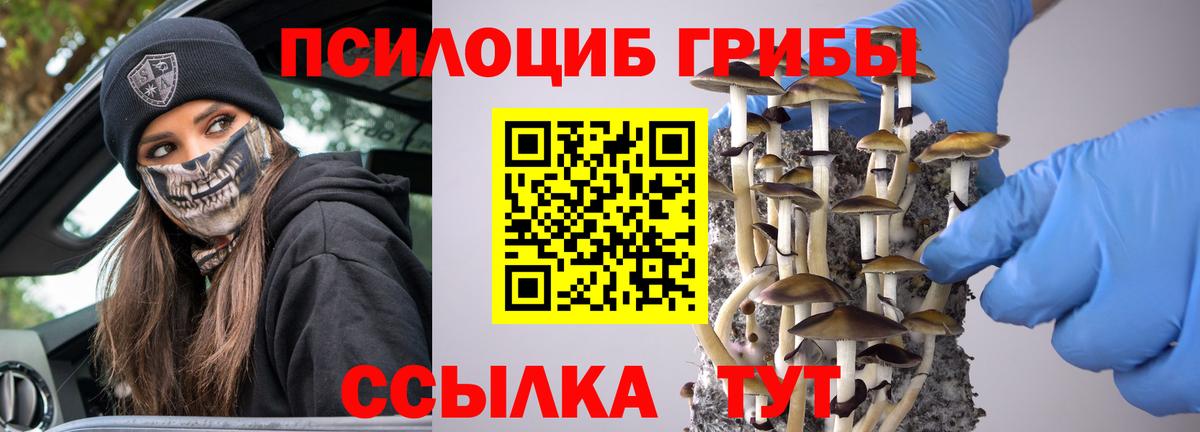 Псилоцибиновые грибы Cubensis  Галлюциногенные грибы GOLDEN TEACHER  Вход с VPN  Симферополь 