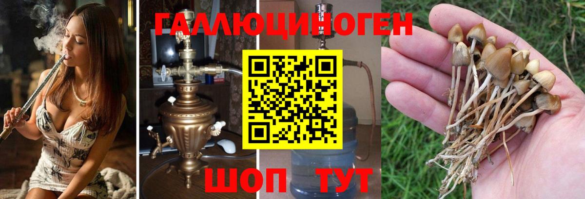 Симферополь  Галлюциногенные грибы MAGIC MUSHROOMS  Вход с VPN  Псилоцибиновые грибы мухоморы 