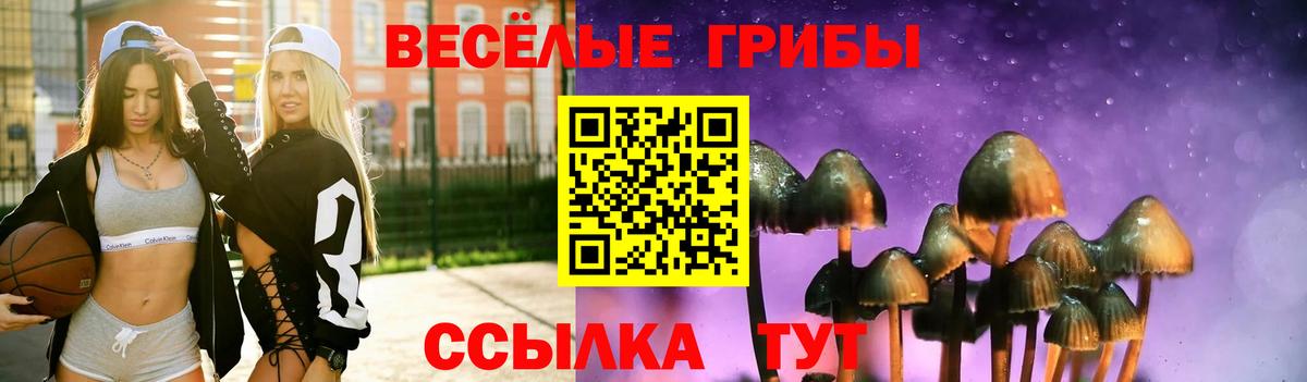 Псилоцибиновые грибы ЛСД Симферополь